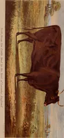 An illustration from Report of the Commissioner of Patents for the year .. (1849)