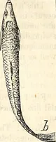 An illustration from Report of the Commissioner of Patents, for the year 1849 (1850)