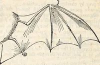 An illustration from Report of the Commissioner of Patents, for the year 1849 (1850)