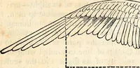 An illustration from Report of the Commissioner of Patents, for the year 1849 (1850)