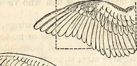 An illustration from Report of the Commissioner of Patents, for the year 1849 (1850)