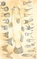 An illustration from Report of the Commissioner of Patents, for the year 1849 (1850)