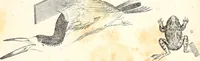 Picture 34 of 36 from Report of the Commissioner of Patents, for the year 1849 (1850), leaf 640