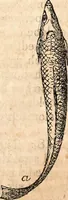 An illustration from Report of the commissioner of patents, for the year 1849 (1850)