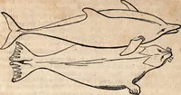 An illustration from Report of the commissioner of patents, for the year 1849 (1850)
