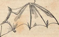 An illustration from Report of the commissioner of patents, for the year 1849 (1850)
