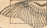 An illustration from Report of the commissioner of patents, for the year 1849 (1850)