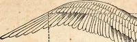 An illustration from Report of the commissioner of patents, for the year 1849 (1850)