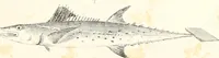 An illustration from Report of the commissioner of patents, for the year 1849 (1850)