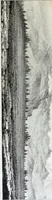 An illustration from Report of the exploring expedition to the Rocky Mountains in the year 1842 : and to Oregon and north California in the years 1843-44 (1845)