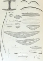 An illustration from Report of the exploring expedition to the Rocky Mountains in the year 1842 : and to Oregon and north California in the years 1843-44 (1845)