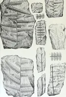 Picture 21 of 30 from Report of the exploring expedition to the Rocky Mountains in the year 1842 : and to Oregon and north California in the years 1843-44 (1845), leaf 346