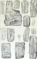 An illustration from Report of the exploring expedition to the Rocky Mountains in the year 1842 : and to Oregon and north California in the years 1843-44 (1845)