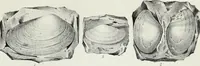 An illustration from Report of the exploring expedition to the Rocky Mountains in the year 1842 : and to Oregon and north California in the years 1843-44 (1845)