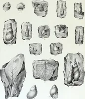An illustration from Report of the exploring expedition to the Rocky Mountains in the year 1842 : and to Oregon and north California in the years 1843-44 (1845)