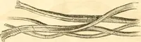 An illustration from Report of the Flax and hemp commission (1865)