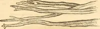 An illustration from Report of the Flax and hemp commission (1865)