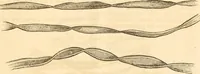 An illustration from Report of the Flax and hemp commission (1865)