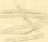 An illustration from Report of the Flax and hemp commission (1865)