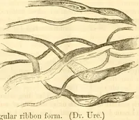 An illustration from Report of the Flax and hemp commission (1865)