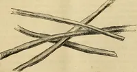 An illustration from Report of the Flax and hemp commission (1865)