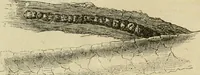 An illustration from Report of the Flax and hemp commission (1865)