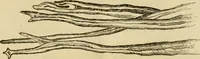An illustration from Report of the Flax and hemp commission (1865)