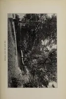 An illustration from Report of Saint Monica's Home for Sick Colored Women and Children January, 1914 (1914)