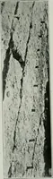 An illustration from Report on the building and ornamental stones of Canada (1912)