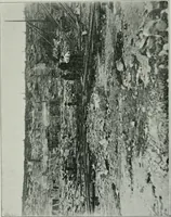 An illustration from Report on the building and ornamental stones of Canada (1912)