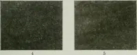 An illustration from Report on the building and ornamental stones of Canada (1912)