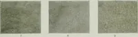 An illustration from Report on the building and ornamental stones of Canada (1912)