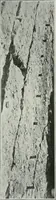 An illustration from ... Report on the building and ornamental stones of Canada, vol. I-V (1912)