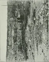 An illustration from ... Report on the building and ornamental stones of Canada, vol. I-V (1912)