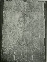 Picture 88 of 105 from ... Report on the building and ornamental stones of Canada, vol. I-V (1912), leaf 520
