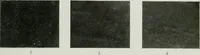 An illustration from ... Report on the building and ornamental stones of Canada, vol. I-V (1912)