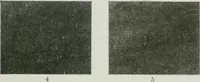 Picture 91 of 105 from ... Report on the building and ornamental stones of Canada, vol. I-V (1912), leaf 546