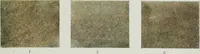 Picture 97 of 105 from ... Report on the building and ornamental stones of Canada, vol. I-V (1912), leaf 550