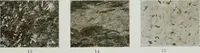 An illustration from ... Report on the building and ornamental stones of Canada, vol. I-V (1912)