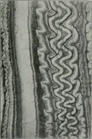 Picture 47 of 61 from ... Report on the building and ornamental stones of Canada, vol. I-V (1912), leaf 292