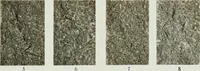An illustration from ... Report on the building and ornamental stones of Canada, vol. I-V (1912)