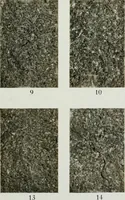 An illustration from ... Report on the building and ornamental stones of Canada, vol. I-V (1912)