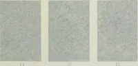 Picture 61 of 62 from ... Report on the building and ornamental stones of Canada, vol. I-V (1912), leaf 402