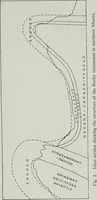 An illustration from Report on the building and ornamental stones of Canada (1912)