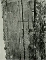 An illustration from Report on the building and ornamental stones of Canada (1912)