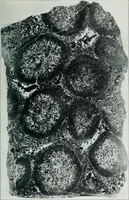 An illustration from Report on the building and ornamental stones of Canada (1912)