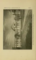 An illustration from Report on the progress and condition of the United States National Museum (1907)