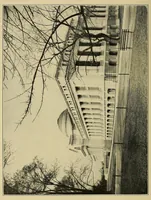 An illustration from Report on the progress and condition of the United States National Museum (1907)