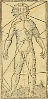 An illustration from Reportorio dos tempos, muy to curioso: : acrecentado & emendado de nouo.. (1590)