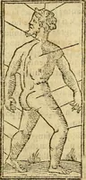 An illustration from Reportorio dos tempos, muy to curioso: : acrecentado & emendado de nouo.. (1590)